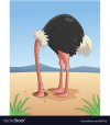 ostrich.jpg
