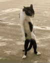 1665743461145.png