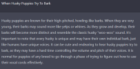 1672904599754.png