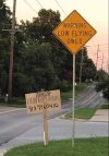 IMG_2952.jpeg