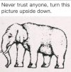 FB_IMG_1708452255190.jpg