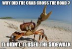 IMG_8303.jpeg IMG_8303.jpeg