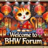 kucing cina.webp