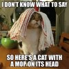 5m6ho6adj0r11.jpg