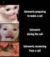 Screenshot_20250205-165055~2.png