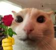 1741673691751.png