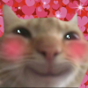 1742125615235.png 1742125615235.png