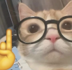 1743572992785.png
