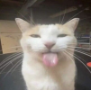 1751195071630.png