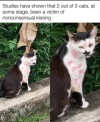 1760865210282.png
