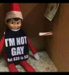 1762168335099.png