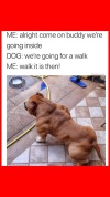 1762260101257.png