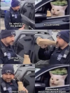 1767434890377.png