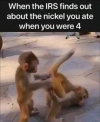 1772147331095.png