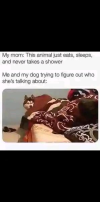 1774594792085.png 1774594792085.png