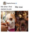 1778828456031.png