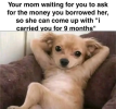 1782709381688.png