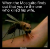 1783058968397.png