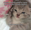 1784179935820.png