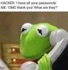 1000237284.jpg