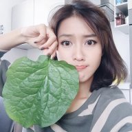 Davis Anh