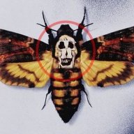 MechanicalMoth