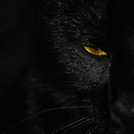 mattepanther