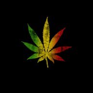 rasta spirit