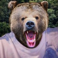 IceePolarBear