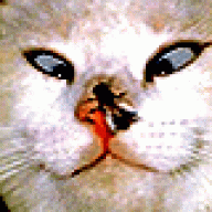 tosgamer