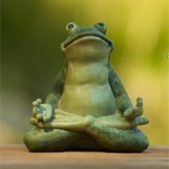 chillfrog