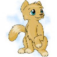 ticbra