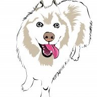 happyhusky