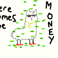 llama77