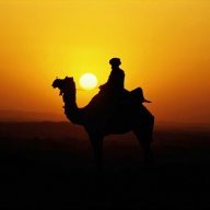 CamelMilk