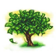 Big SEO Tree