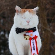 meosuper