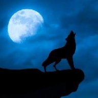 thenight