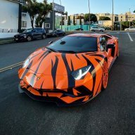 LandCruiserMan