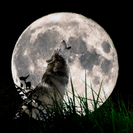 Sentinel