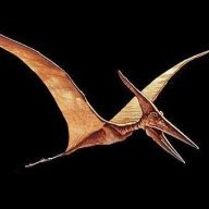 ThePterodactyl