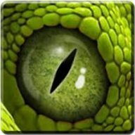 Ozischull