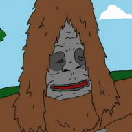 BFM