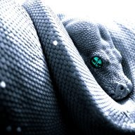 Cobras
