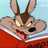 steamyCoyote