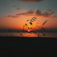 Othmane B