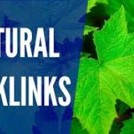 qualitybacklink
