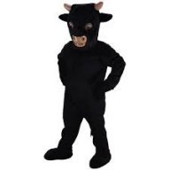 BabyBull
