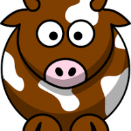 Brown_Cow