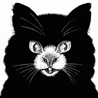 BlackRat19